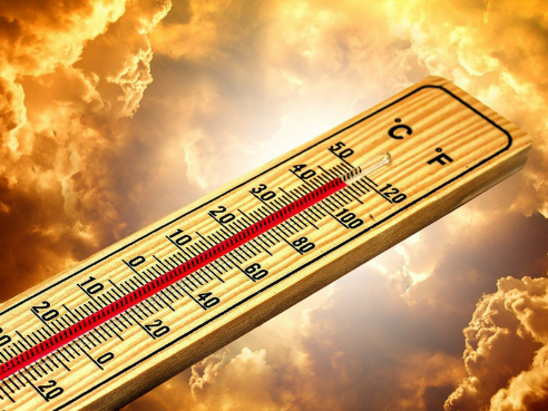 You are currently viewing Changement climatique, une expo pour « comprendre et agir »